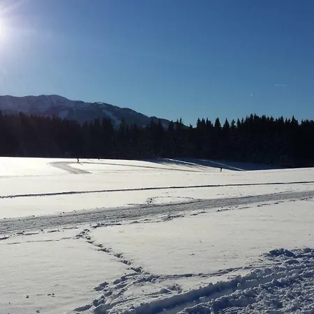 Lejlighed Haus Ferienglueck Ramsau am Dachstein