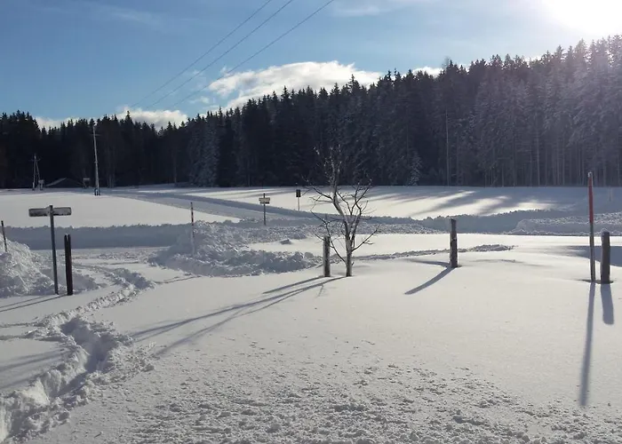 Apartment Haus Ferienglueck Ramsau am Dachstein
