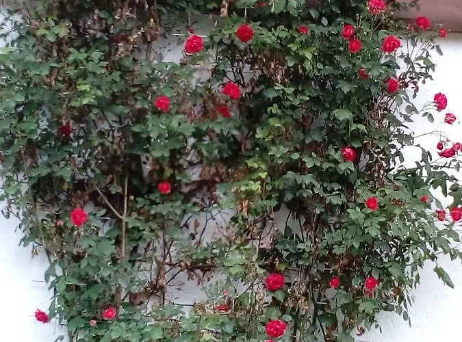 Haus Ferienglueck Apartment