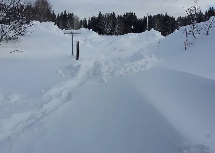 Apartment Haus Ferienglueck