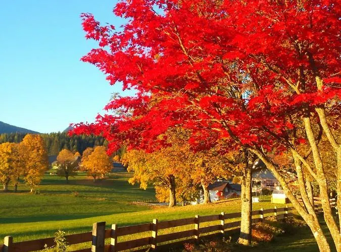 Haus Ferienglueck * Ramsau am Dachstein