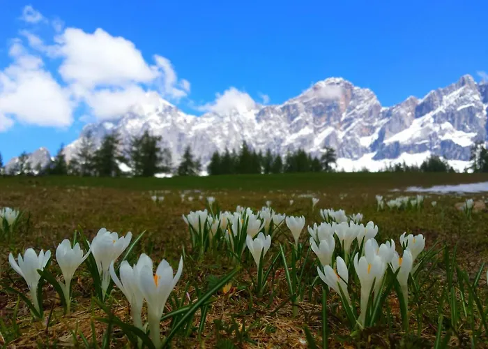 Apartment Haus Ferienglueck